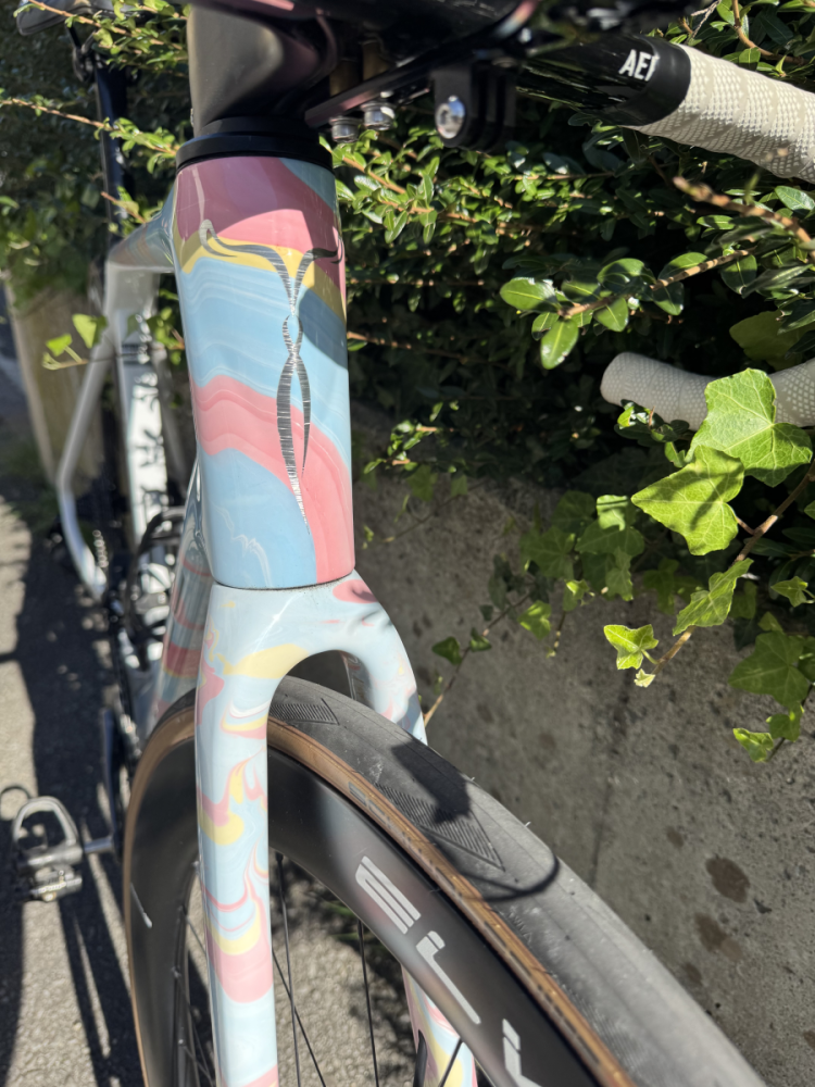 Elves Avari Pro Disc
